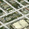 rose avenue