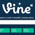 vine
