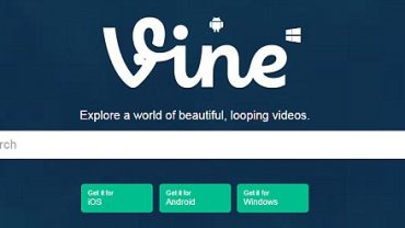 vine