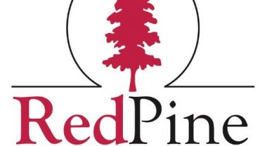 red pines exploration